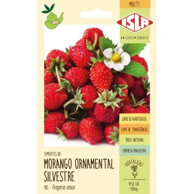 Semente Isla Multi Morango Ornamental Silvestre