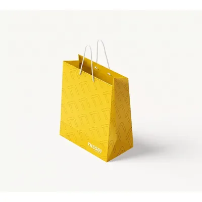 Sacola de Papel Duplex 35x25cm