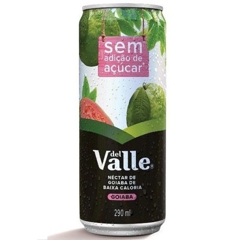 Suco Del Valle Néctar Goiaba 290ml